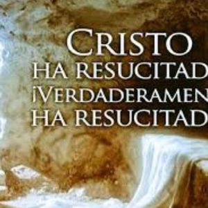 Meet your Posher, Wilmar